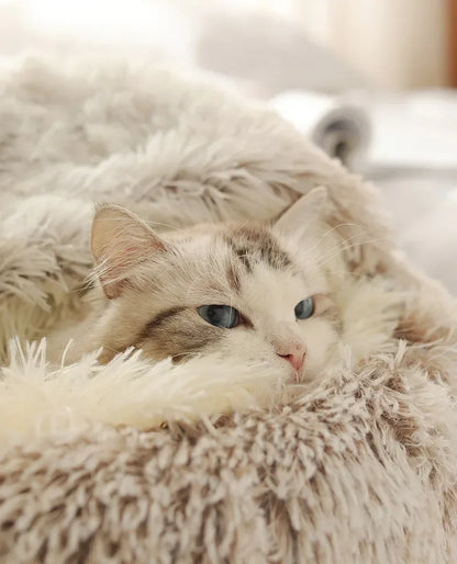 Autumn and Winter soft plush pet bed and pet bed Winter warm and cold plush comforter nest Shell cat nest semi-enclosed cat nest