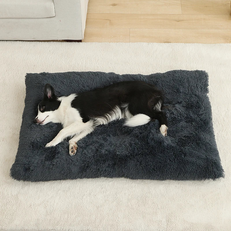 PawRes Mat